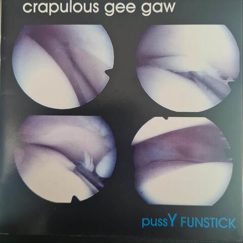 Pussy Funstick
