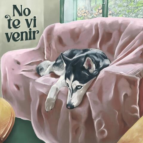 No te vi venir