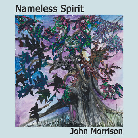 Nameless Spirit