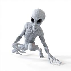 Funky Alien