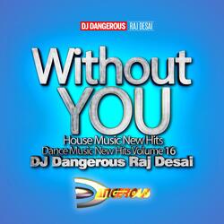 30 Minute Non-Stop Album 16 DJ Dangerous Raj Desai Megamix