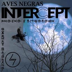 Aves Negras