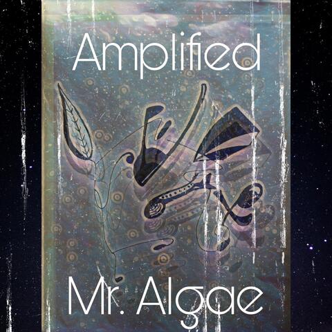 Amplified