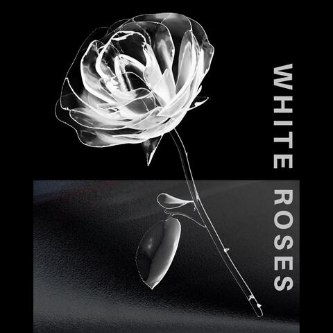 White Roses
