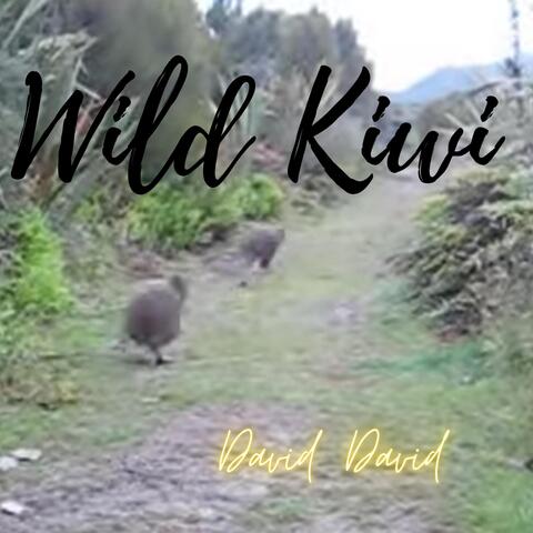 Wild Kiwi