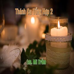 Thân Bụi Tro