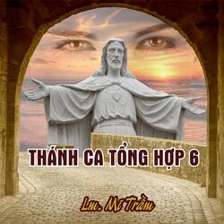 Maria Mẹ Của Lòng Thương Xót