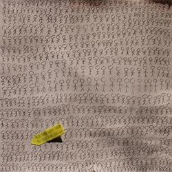 Walking Through the Fields