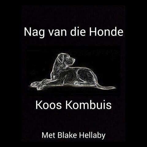 Koos Kombuis