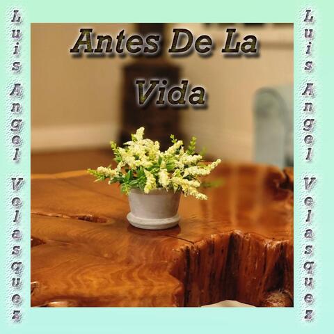 Antes de la Vida