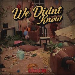 We Didn't Know