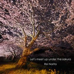 Let's meet up under the sakura
