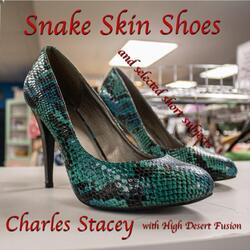 Snake Skin Shoes (feat. Steven Sprague, Alex Lieban, Halana Ward, Tony Evans & Robert Beck)