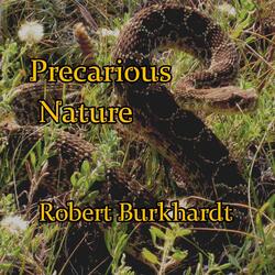 Precarious Nature