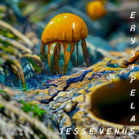 ERYSIPELAS