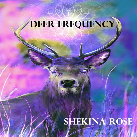 Deer Frequency