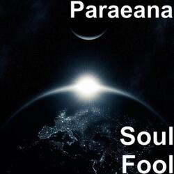 Soul Fool