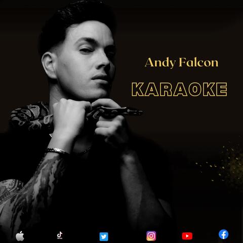 Karaoke Andy Falcon