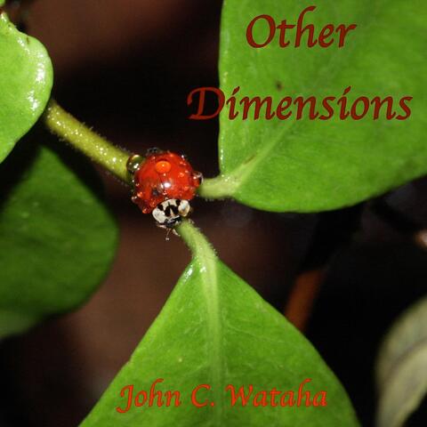 Other Dimensions
