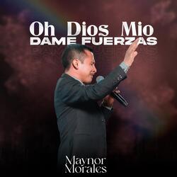 Mezcla: Ho Dios Mío Dame Fuerza / Padre No Le Dejes por Favor / Si Tu Vieras Fe / Que Descienda Hoy / Señor Señor / Camina Conmigo / Perdón Te Ruego / Jesús Me Rescato / en el Cielo Se Oye / Que Felicidad (En Vivo)