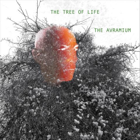 The Tree of Life