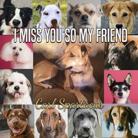 I Miss You So My Friend