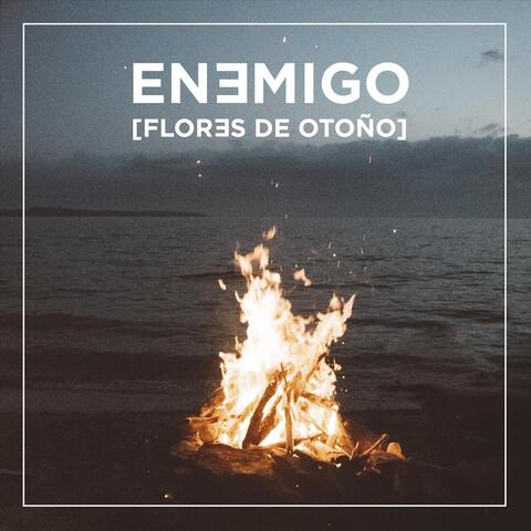 Flores de Otoño