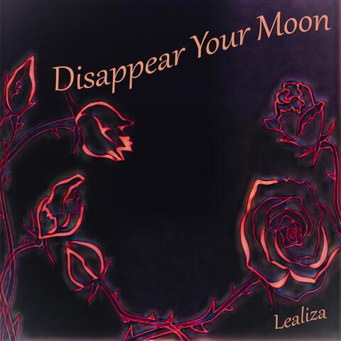 Disappear Your Moon