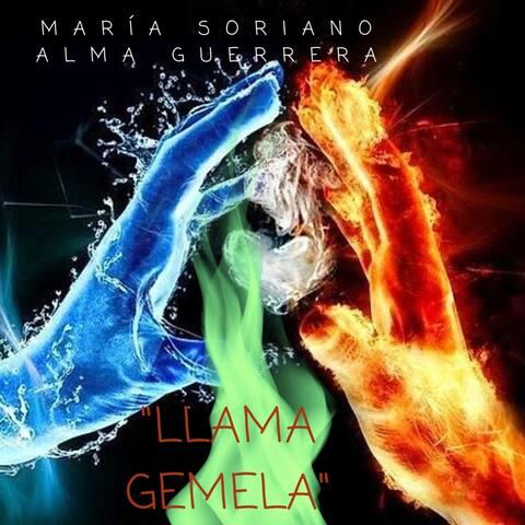 Llama Gemela