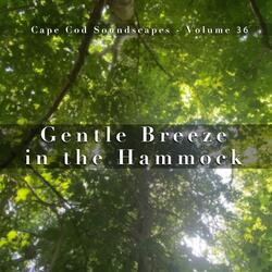 Gentle Breeze in the Trees, Pt. 01