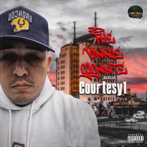 The Vinny Gigante Album