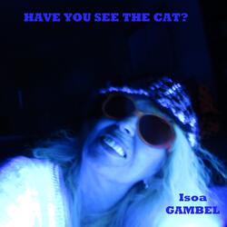 Have You See the Cat?