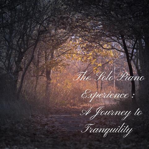 The Solo Piano Experience: A Journey to Tranquility