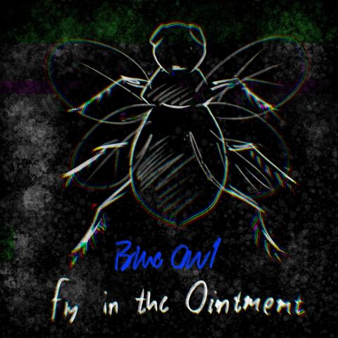 Fly in the Ointment - Single