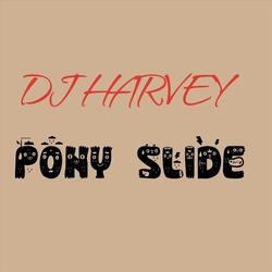 Pony Slide