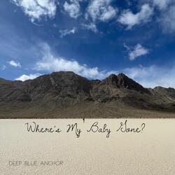 Where's My Baby Gone?