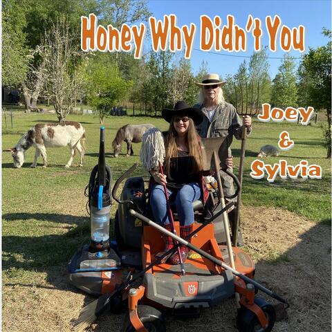 Honey Why Didn't You (feat. Sylvia Rogers)