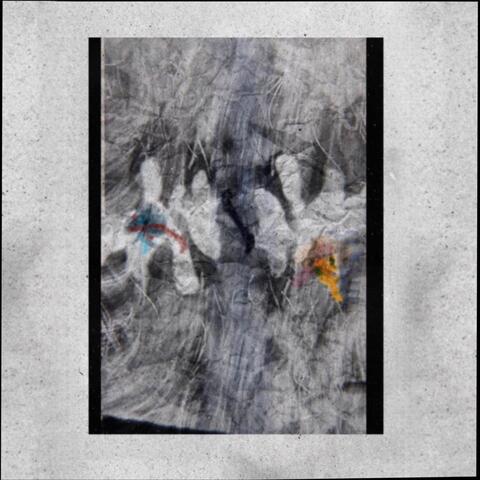 Anima and Animus (Live)