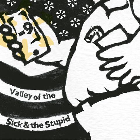 Valley of the Sick & the Stupid