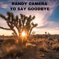 To Say Goodbye