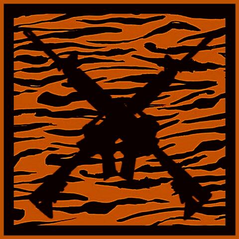 Noche de Safari