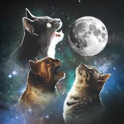 Unstoppable (The Theme to Cruising with Cats) [Instrumental]