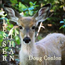 Lesser Than