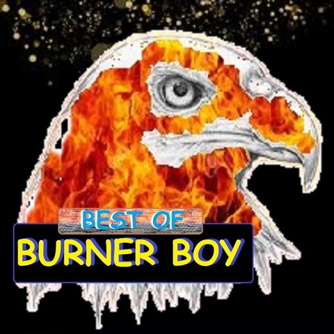 Best of Burner Boy