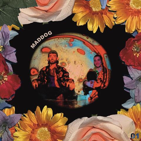 Maddog 1