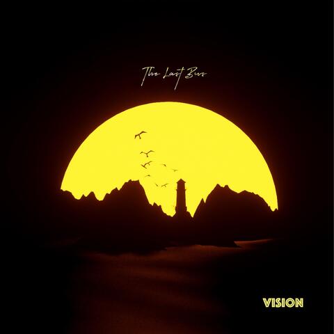 Vision