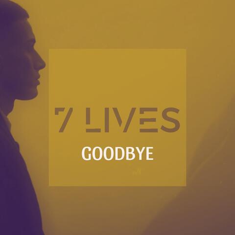 Goodbye