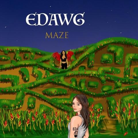 Maze