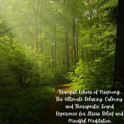 Forest Whispers: A Peaceful Stroll