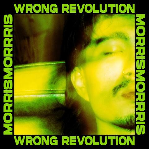Wrong Revolution